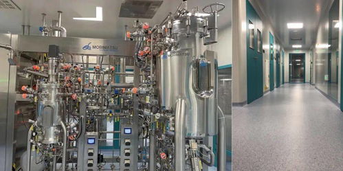 中國(guó)首個(gè)mrna新冠疫苗工廠成功交付丨森松法瑪度模塊化數(shù)字化設(shè)計(jì)建造